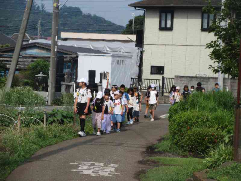 c0f19070-017b-4a88-a137-da4d78f68e0d