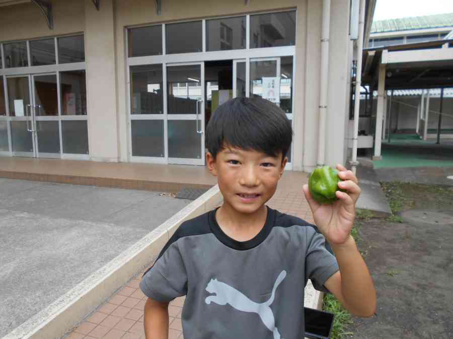 DSCN9833