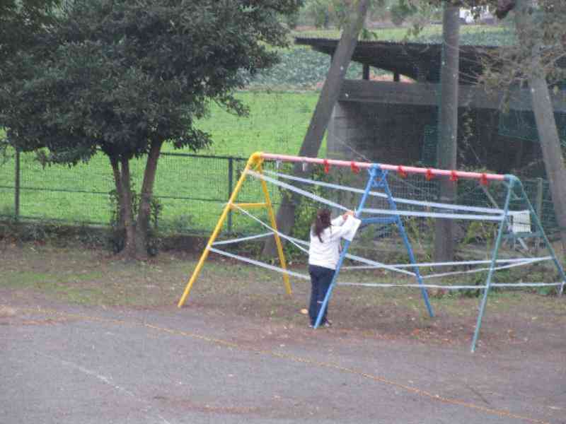 c9bcc366-f2f6-48b7-be44-68f3b538f5b3