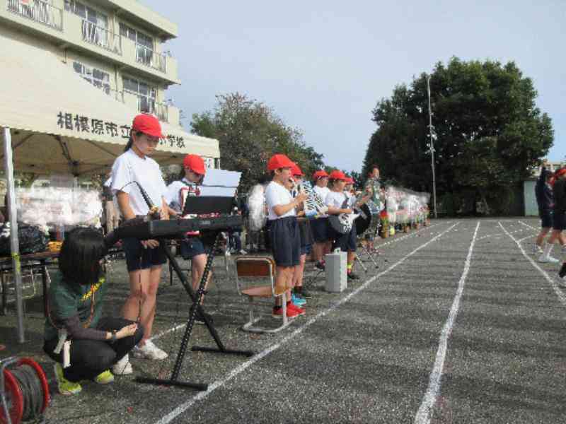 c5a3f829-ee8a-4ce2-a6c6-a4b0f87da64d