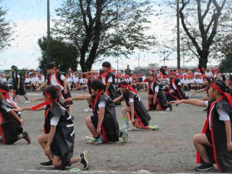 6f559e83-3ebb-4957-9515-a589e7808c9a