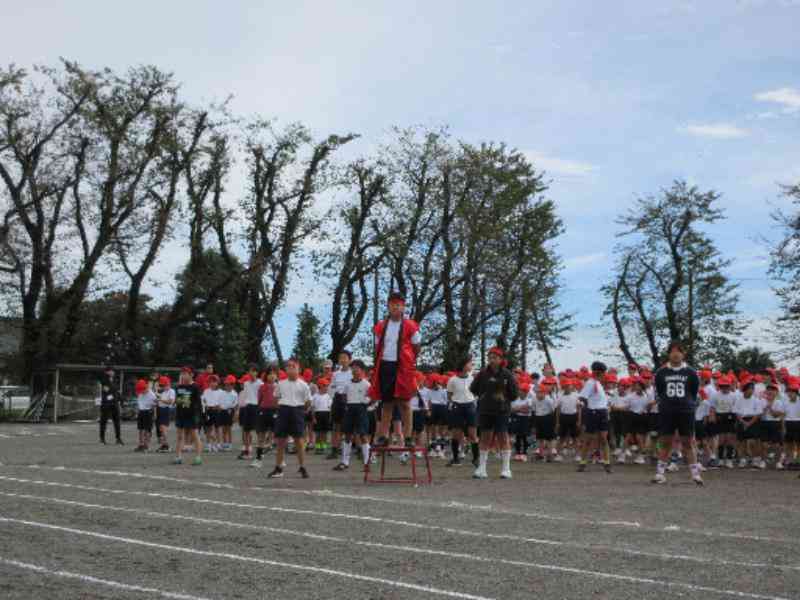 d6dd338c-00d0-4d60-b73a-657321392dc4