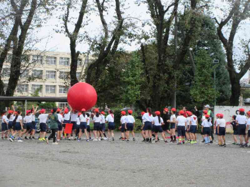 699d121d-6804-403c-858a-7be970ebcb6a