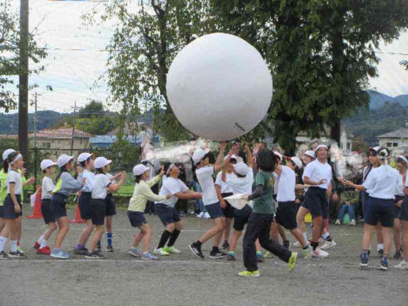 31c95dd5-a11e-4078-971b-65a41183d413