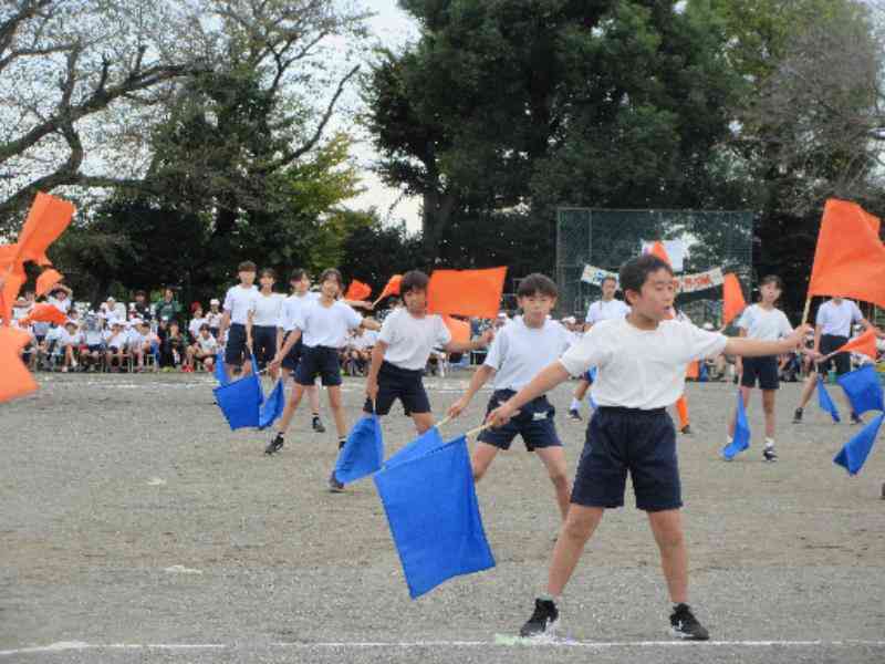 ad155337-91fe-440b-a560-afcfbcc7044e (1)