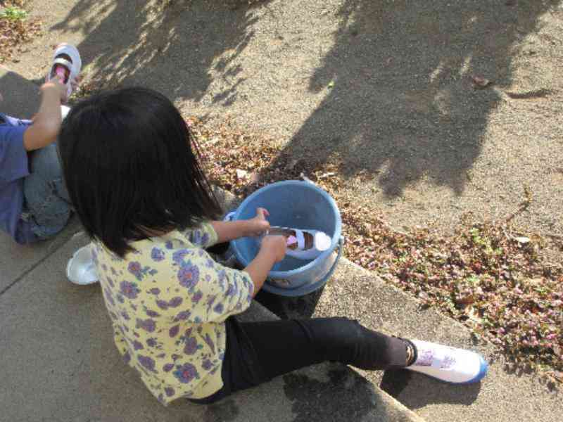 418b734d-0176-47d3-91d1-d30c51993fb9