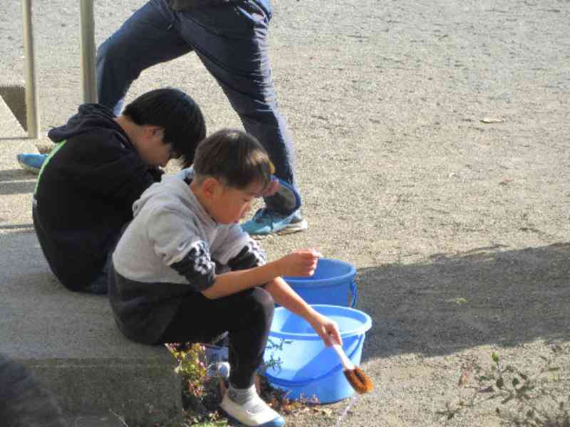 3b264bc8-086c-4361-bb90-c7f11e9a7303