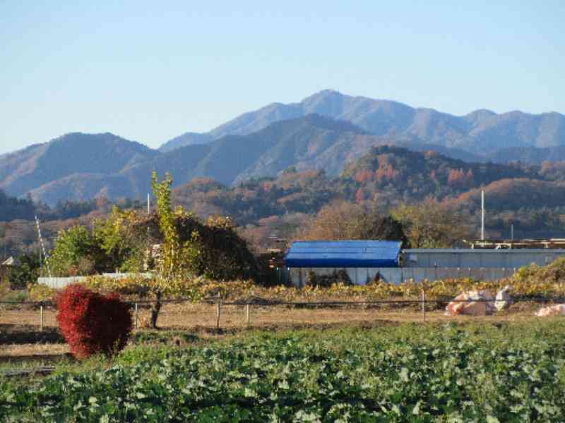 94d6fa36-4d22-46f3-9af4-2d2bcab6e2c7