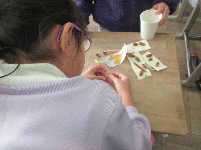 7eeb6d54-2cc2-45d2-a198-63c5d6e234da