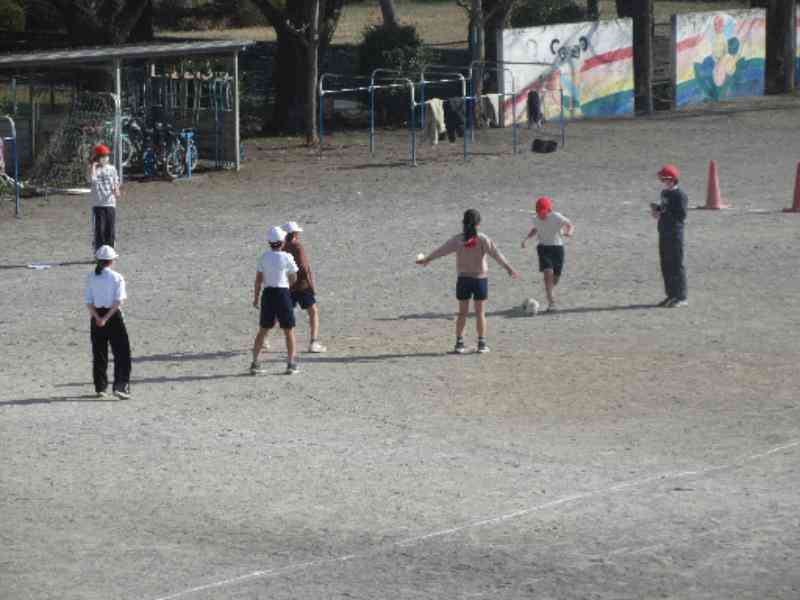 d338efbb-995d-4d14-bd41-090fea1d5efd