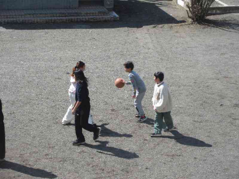 e4f8cd3e-189f-4c1f-9258-3342ccd6eb06