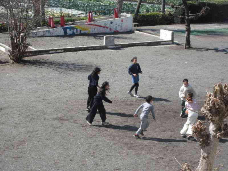 1fea2f08-e6fc-45ca-bfd7-ecf0c06c2531